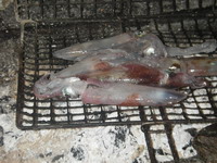 verse inktvis op het vuur